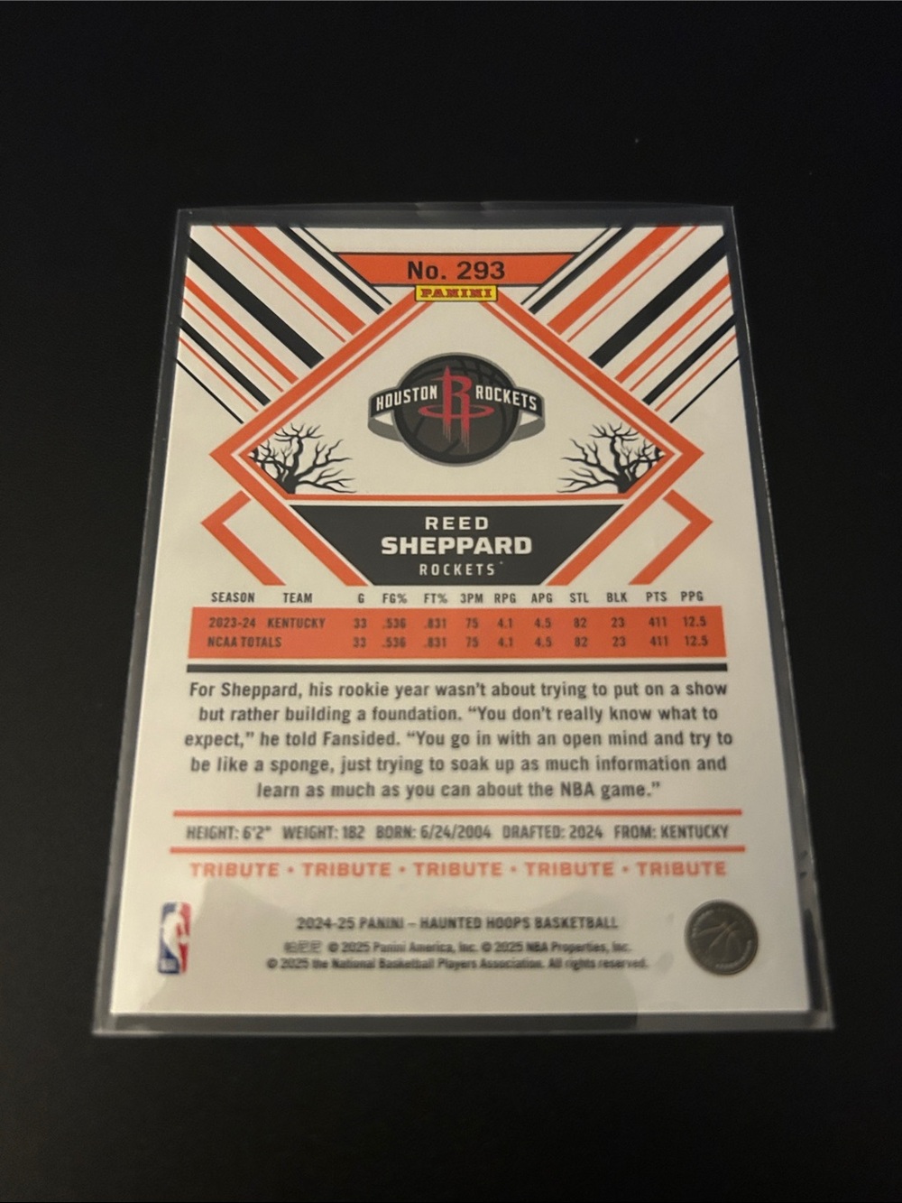 Panini Houston Rockets Reed Sheppard Haunted Hoops Basketball Card - Picture 2 of 2
